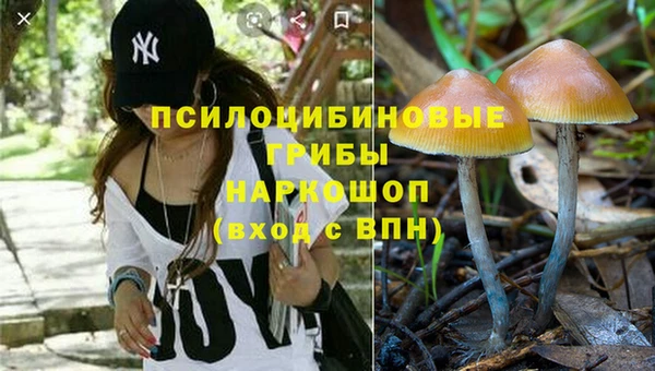 молекула духа Семикаракорск