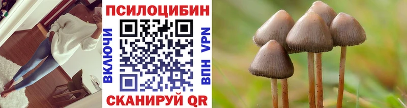 Псилоцибиновые грибы мицелий Купить закладки Ермолино